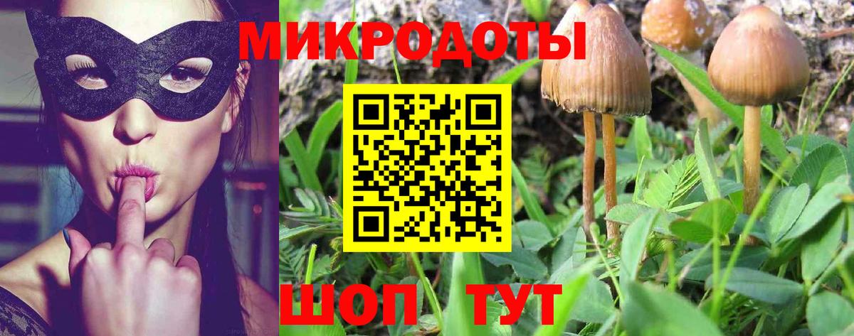 Галлюциногенные грибы GOLDEN TEACHER Новочеркасск