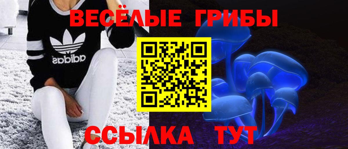 Псилоцибиновые грибы прущие грибы  Вход с VPN  как найти   Галлюциногенные грибы прущие грибы  Новочеркасск 